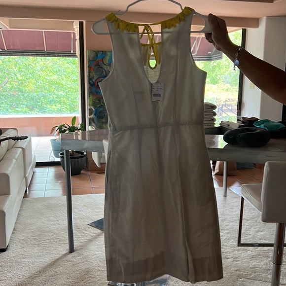 Brand new cotton/ silk size 2 dress with a liner - Picture 2 of 9